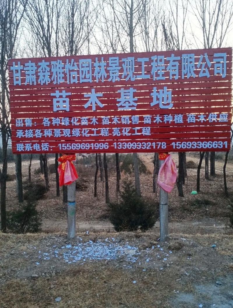 园林绿化公司电话