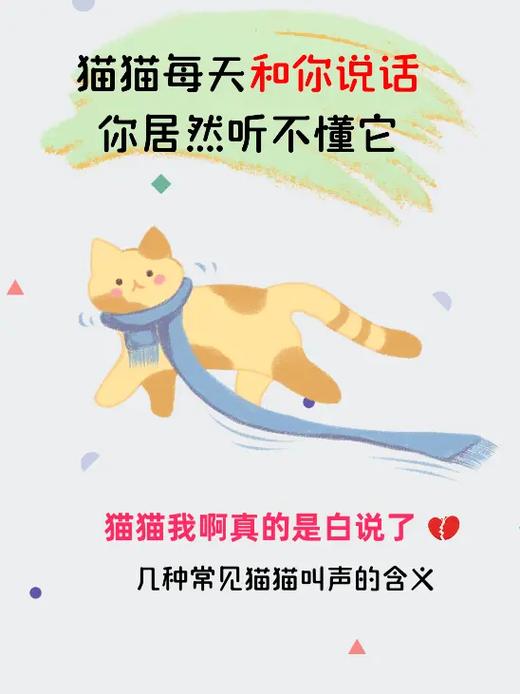猫有什么话题聊