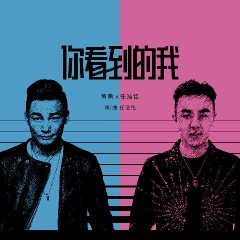 你看到的我DJ免费下载截图