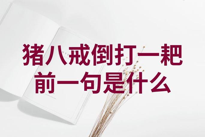 怎么收拾倒打一耙的人