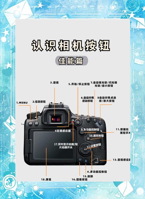 佳能相机改中文的步骤
