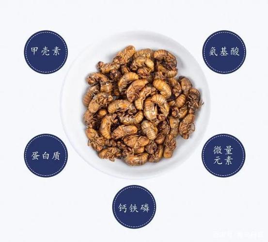 金蝉有什么营养