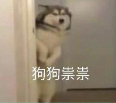 狗狗祟祟表情包