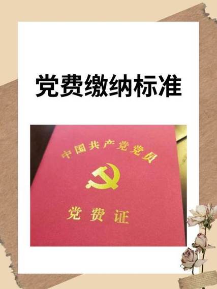 党费缴纳办法实施细则截图