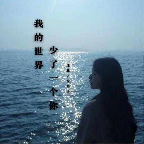 我的世界里少一个你