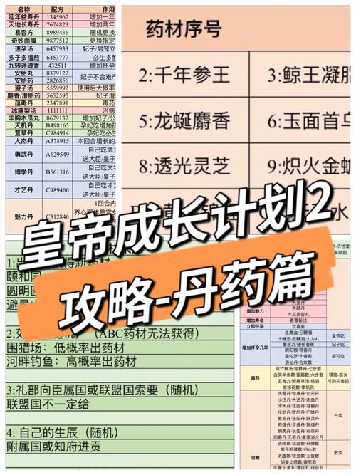 皇帝的成长计划1丹药