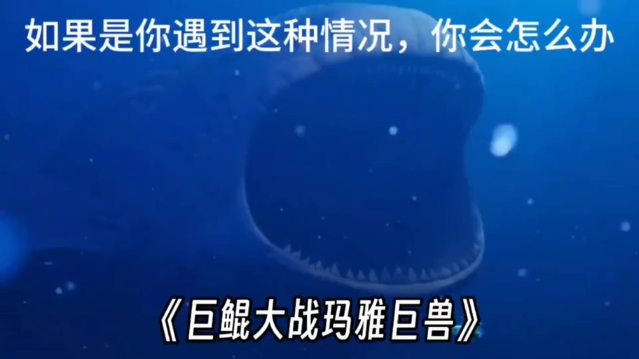 布鲁vs巨鲲