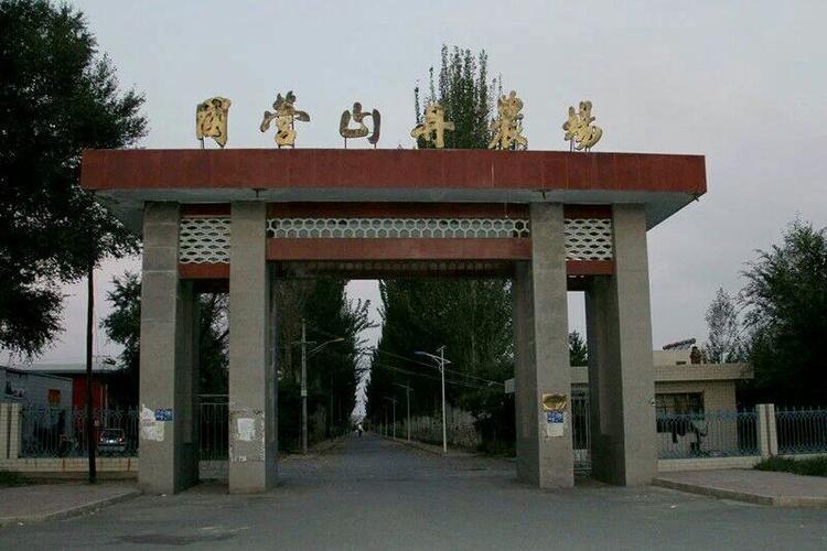 山有有国营农场吗截图