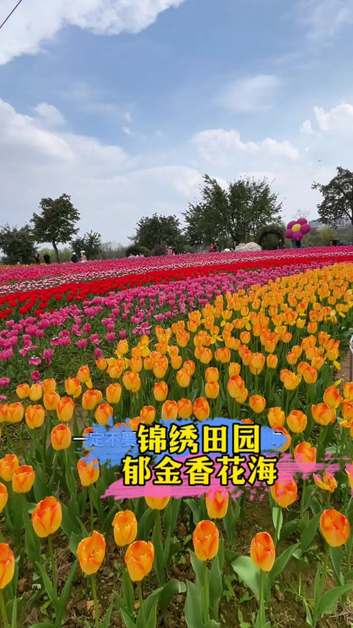 空间之锦绣田园