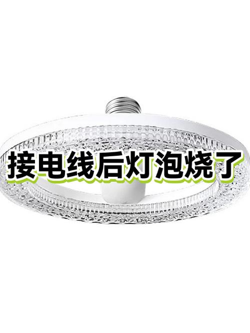 家里灯泡烧坏的原因游戏截图