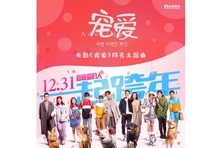 宠爱电影百度云资源