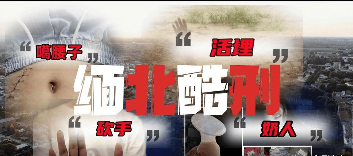 《缅北逃生记》完整版