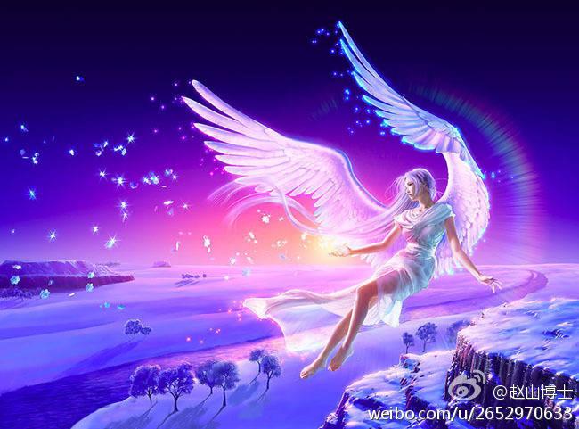 天使会飞因为将自己看得很轻