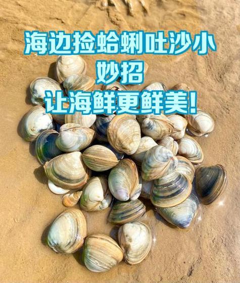 怎么让嘎啦快速吐沙子