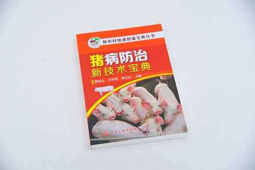 寻找致富经关于养猪的节目