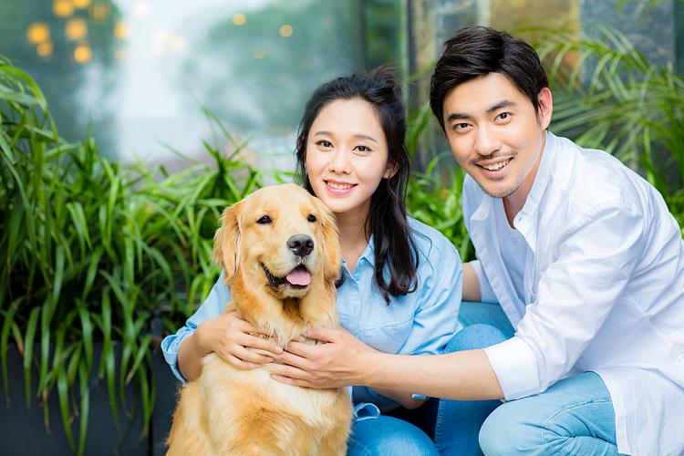 我的世界怎么带走宠物缩略图