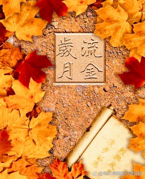 防老人走失软件