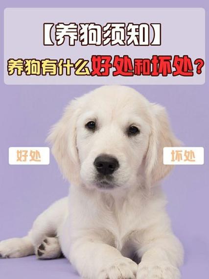 养狗的好处和坏处