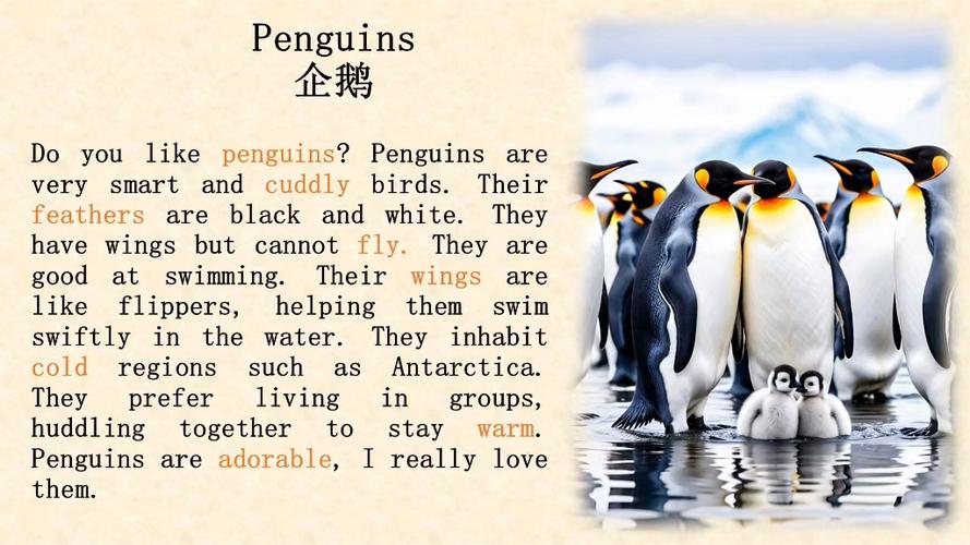 我喜欢企鹅英语作文图标