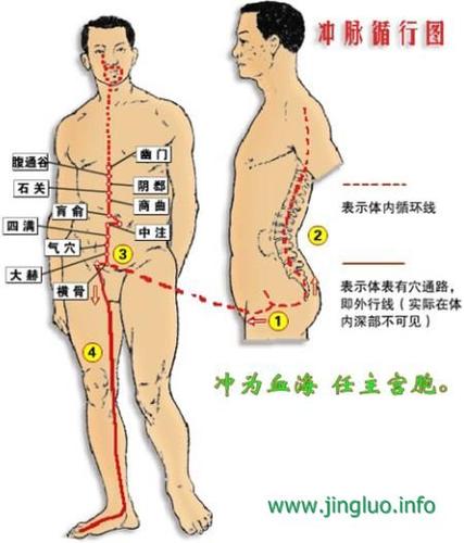 奇经八脉动画演示
