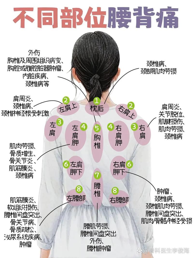疼痛部位对照表