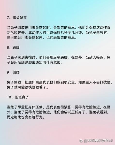 兔子的表现代表什么