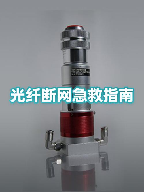 手机没网络是什么原因
