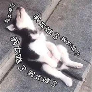 抖音里面的发字很难中