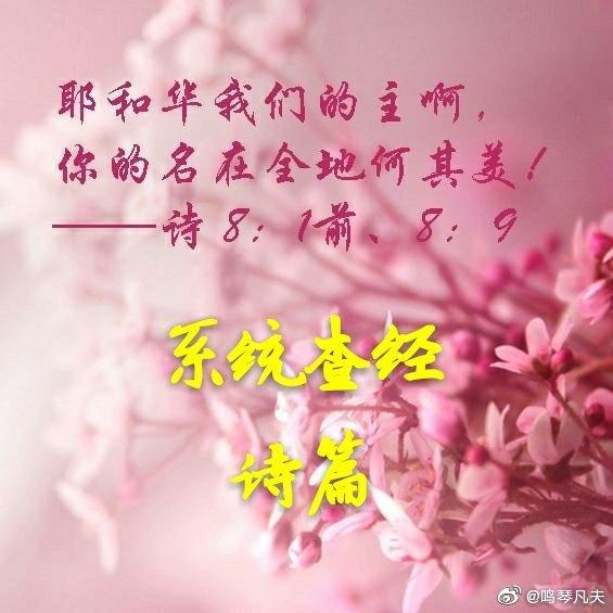 诗篇第二篇查经讲解