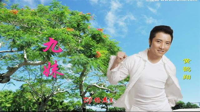 黄鹤翔九妹DJ版