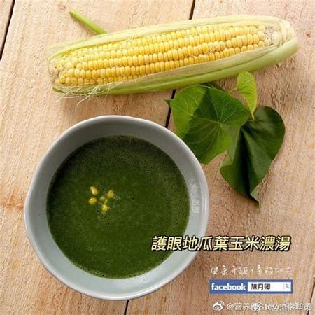玉米浓汤免费阅读
