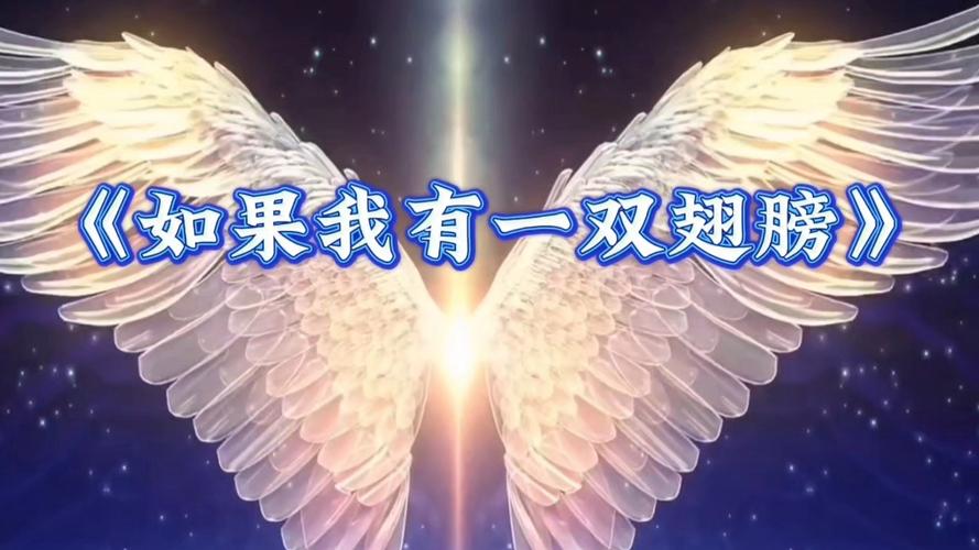 我有一双翅膀600字记叙文截图