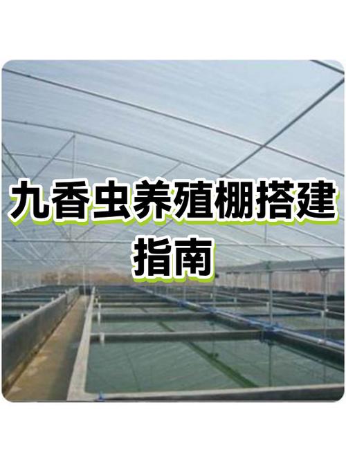 九香虫养殖大棚图片
