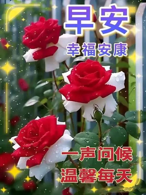 表弟伤心了高情商回复