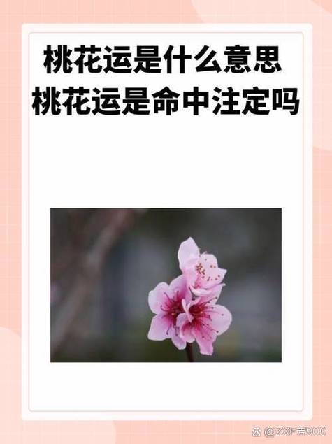 什么是桃花运