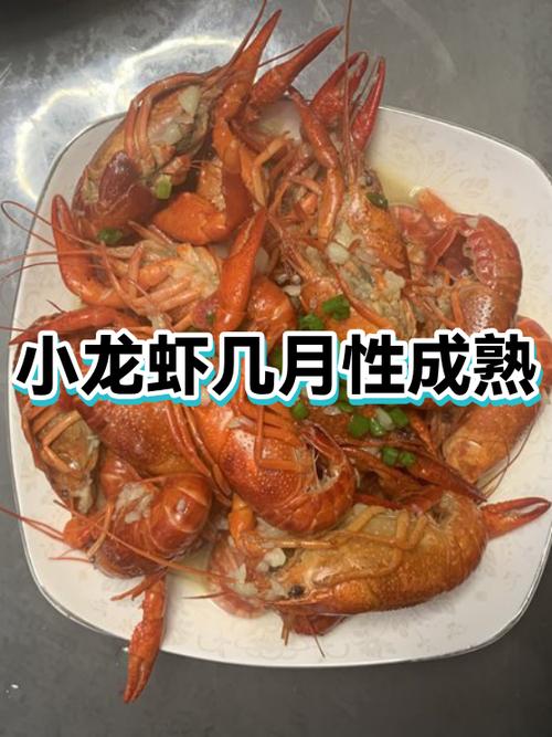 小龙虾一般几月不吃