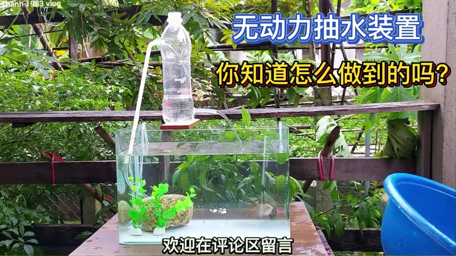 鱼缸怎么循环水
