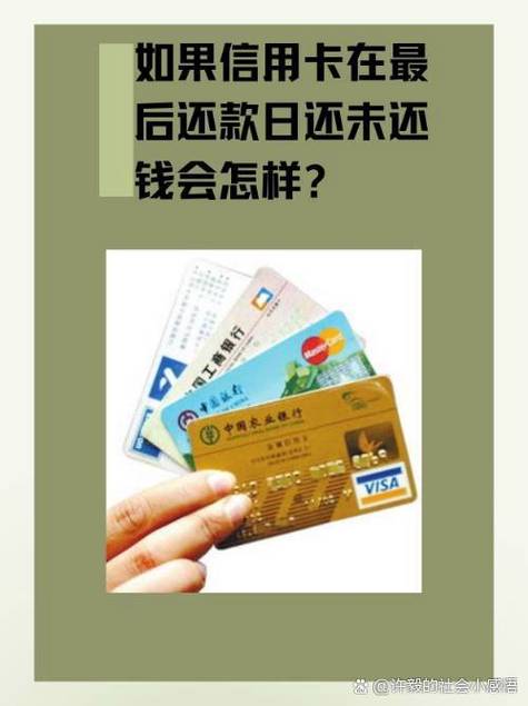 分期乐黑卡到期了还免息吗