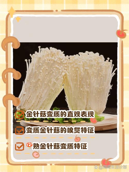 金蘑菇菇现在的质量