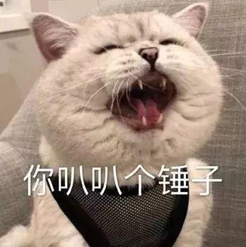 啊叭叭叭是什么意思