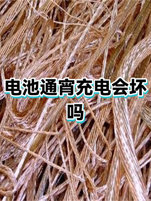 苹果手机通宵充电对电池有损害吗游戏截图