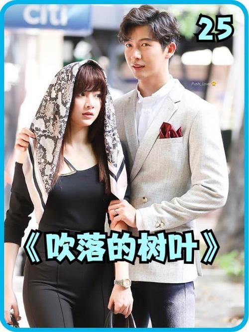 吹落的树叶国语版40全集