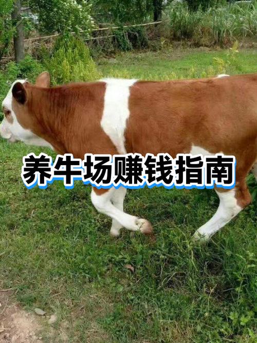 牧场赚钱