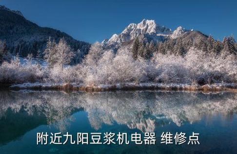 附近九阳豆浆机维修点