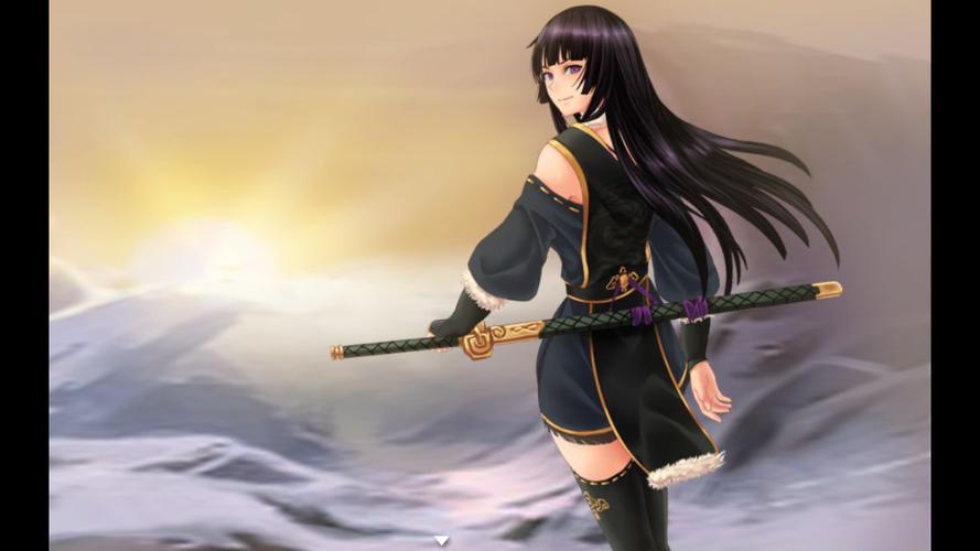 青龙剑姬传安卓apk