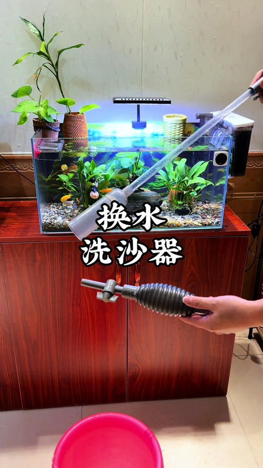 小米鱼缸怎么清理粪便缩略图