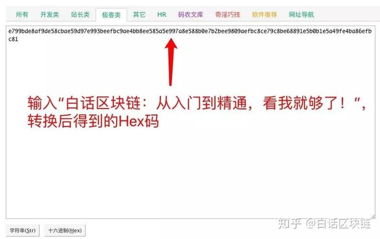 钱包提币到平台多久到账