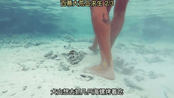 荒岛求生种子最大的岛缩略图