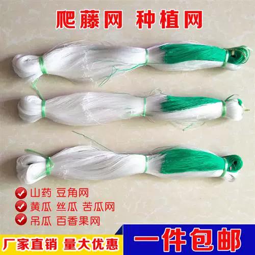 苦瓜网旧版