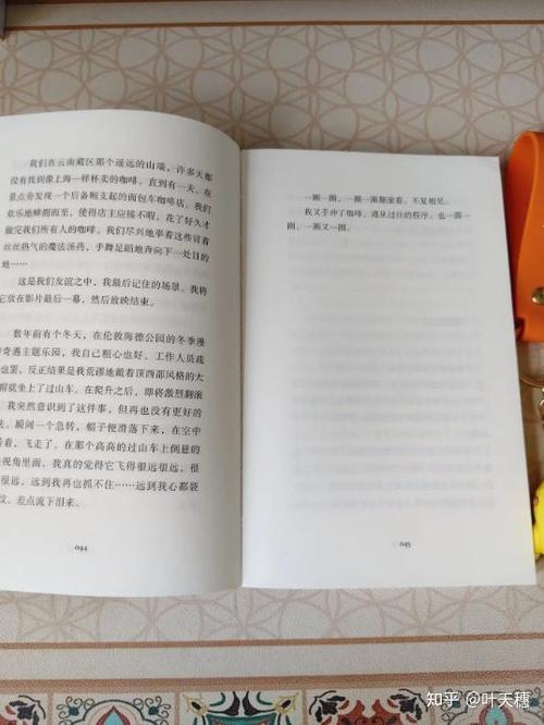 手记是什么意思